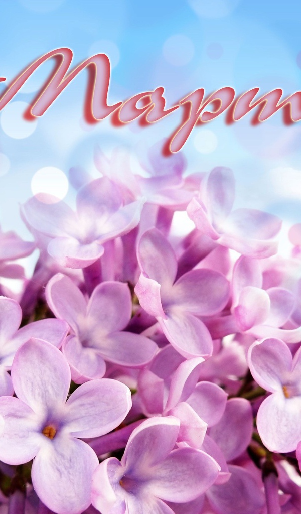 Первоцвет на 8 марта