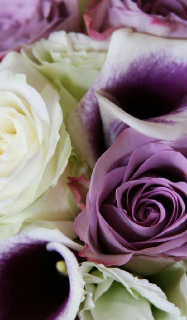 Фиолетовые розы в красивом букете на восьмое марта