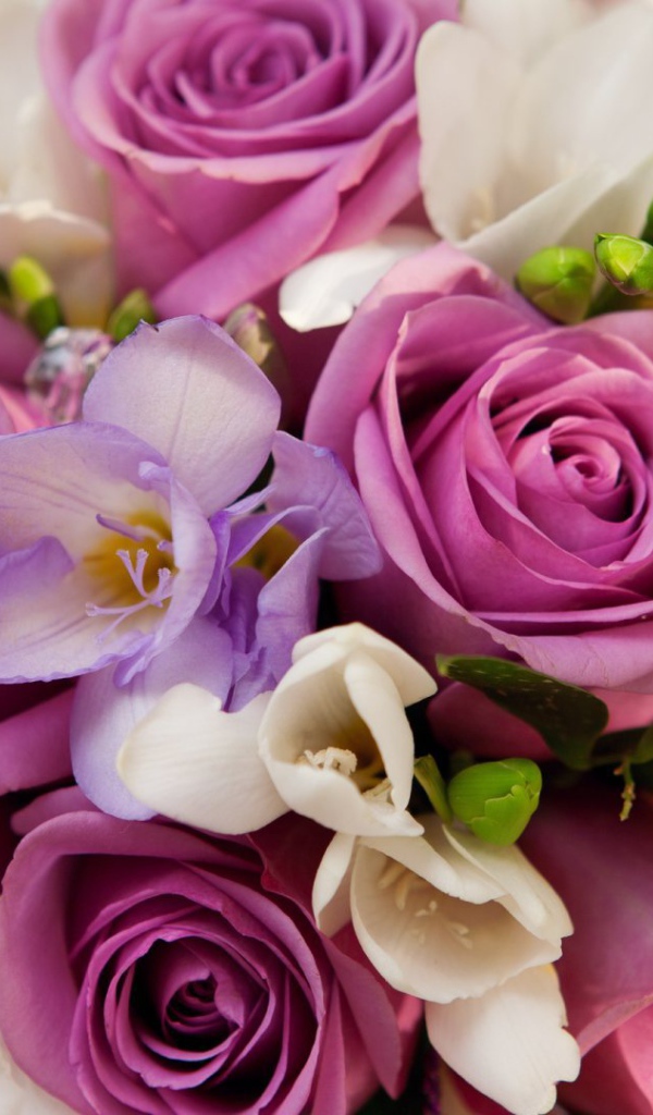 Фиолетовые розы в букете для женщин на восьмое марта