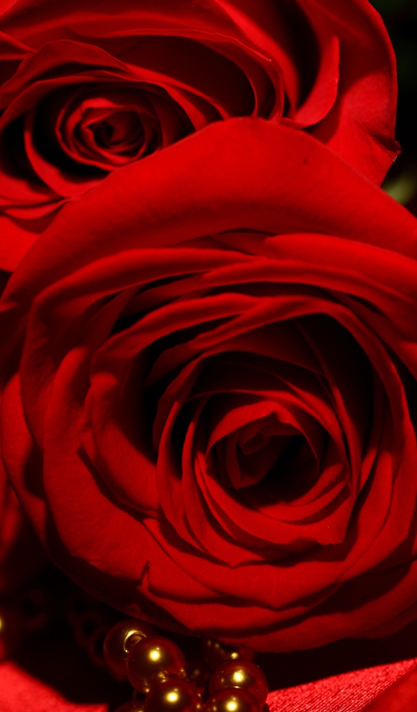 Красные розы на 8 марта на фоне атласа и жемчуга