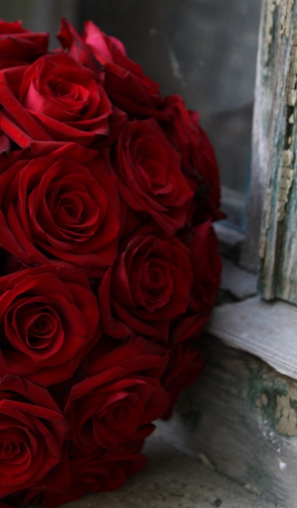 Красные розы на 8 марта возле окна