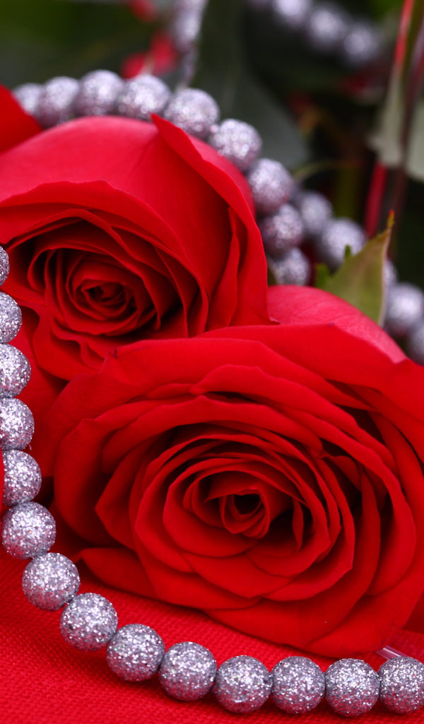 Красные розы на 8 марта на красном фоне