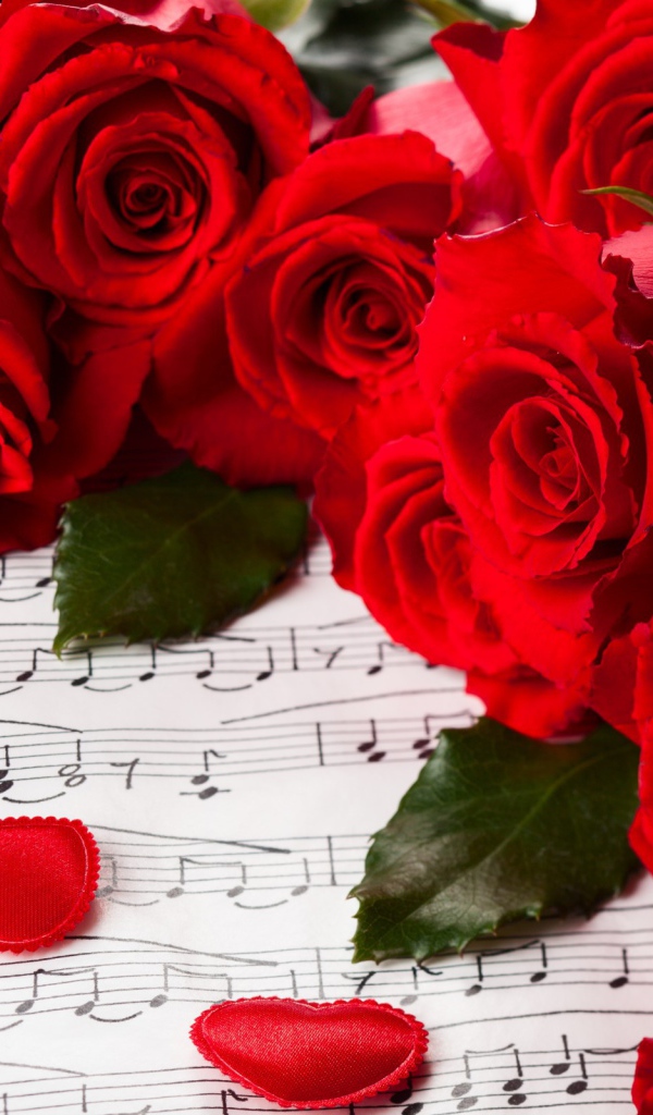 Красные розы на 8 марта на фоне нот