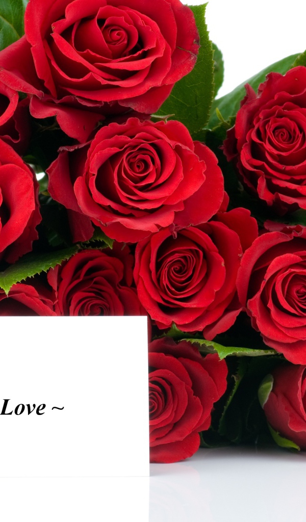Красные розы на 8 марта с открыткой