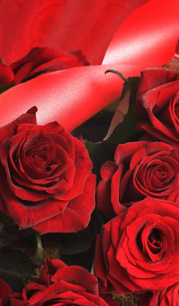 Красные розы на 8 марта с красными лентами