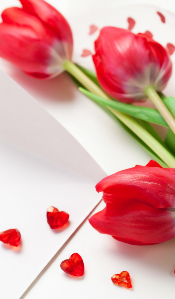 Красные тюльпаны на 8 марта