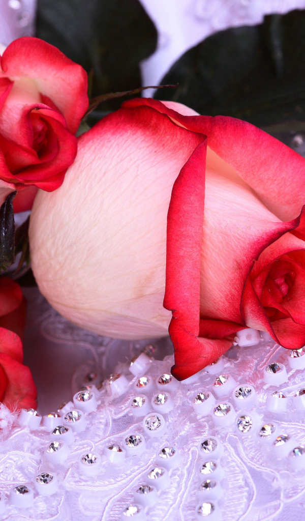 Розы на 8 марта