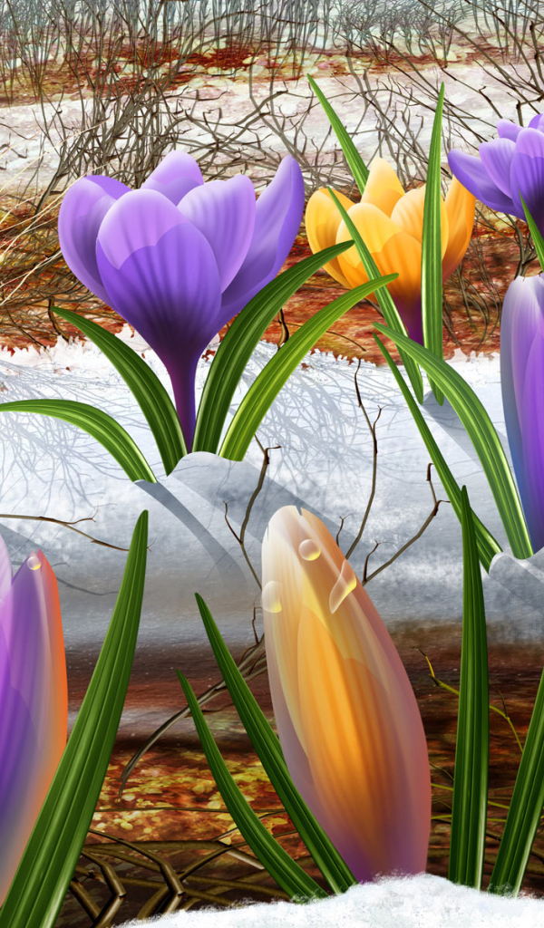 Подснежник на 8 марта