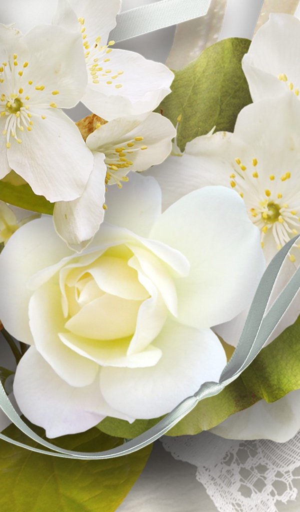 Белая роза и другие цветы, картинка на восьмое марта