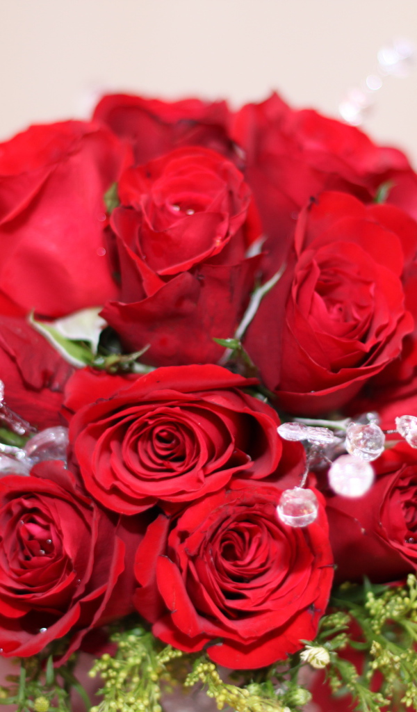 Красные розы на 8 марта с зелеными ветками