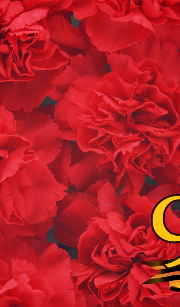 Фон из красных цветов в День Победы 9 мая