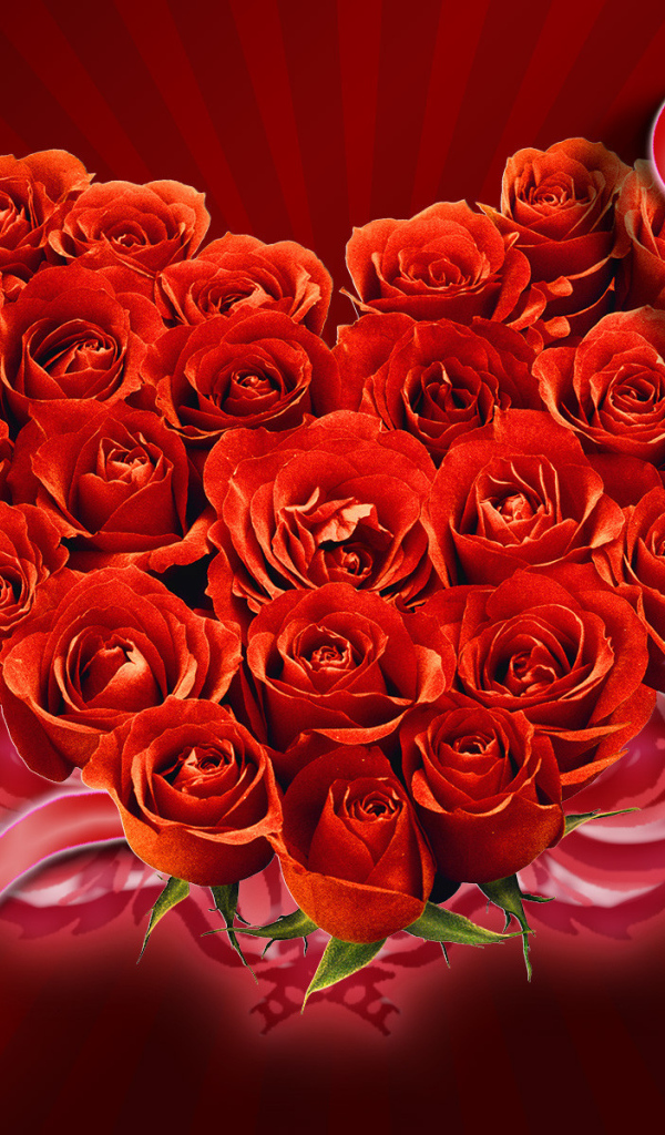 Букет красных роз на День Святого Валентина