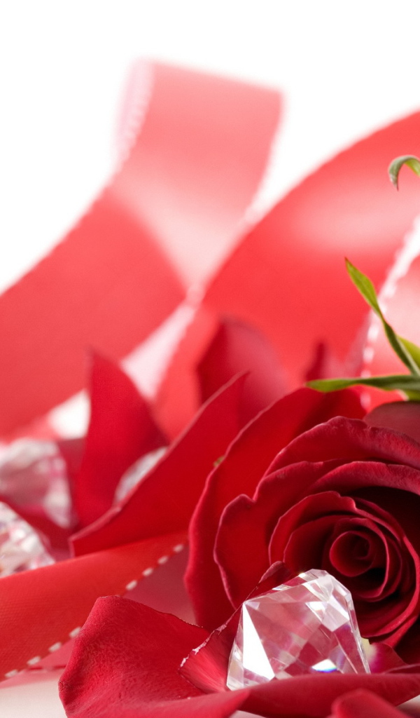 Букет роз на День Святого Валентина 14 февраля