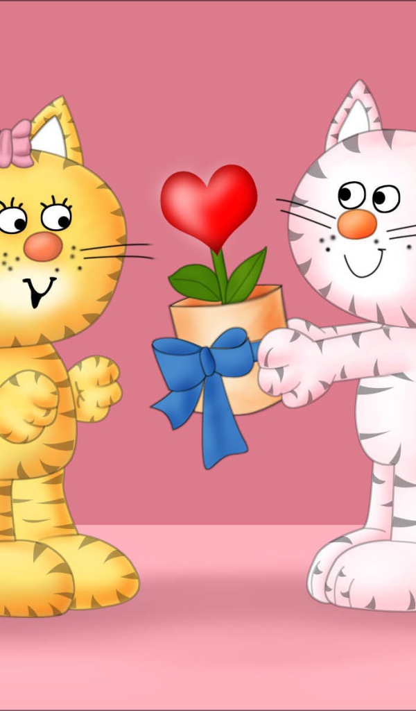 Кошачья любовь на День Святого Валентина 14 февраля