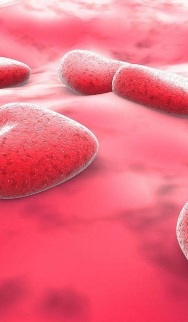 Сердца на розовом фоне на День Святого Валентина 14 февраля