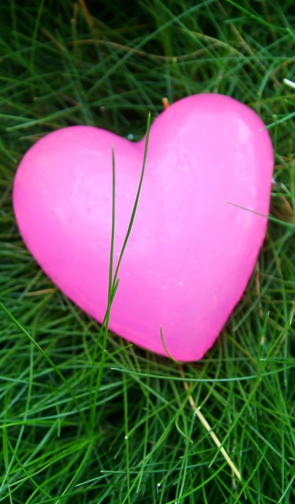 Розовое сердечко на траве