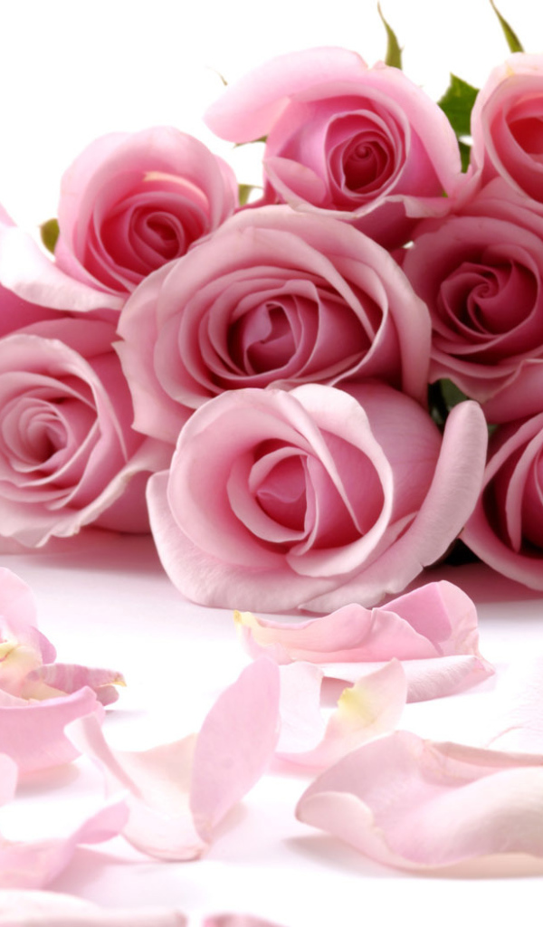 Розы С Днем Святого Валентина