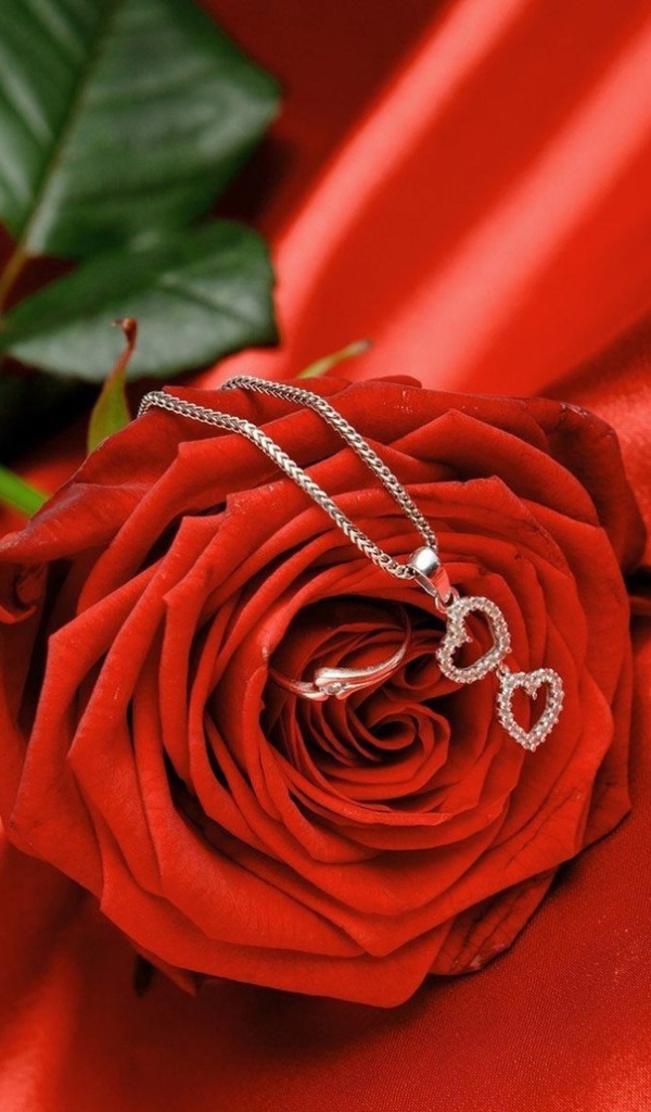 Rose with pendant for Valentine's Day