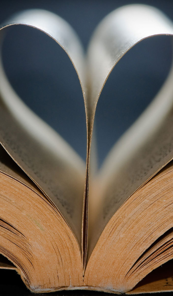 Сердце из книги на День Святого Валентина 14 февраля