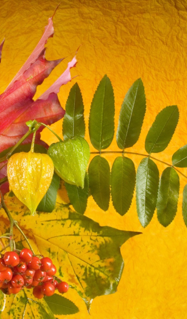 Осенний букет в День знаний 1 сентября