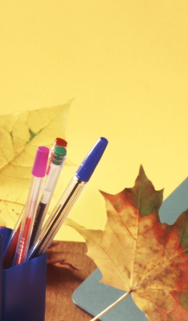 Пенал в День знаний 1 сентября