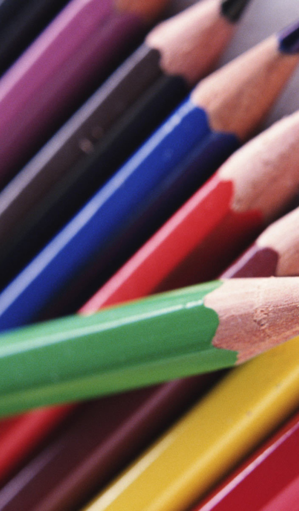 Карандаши в День знаний 1 сентября