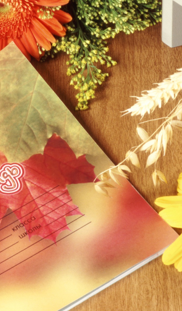 Школьная тетрадь в День знаний 1 сентября