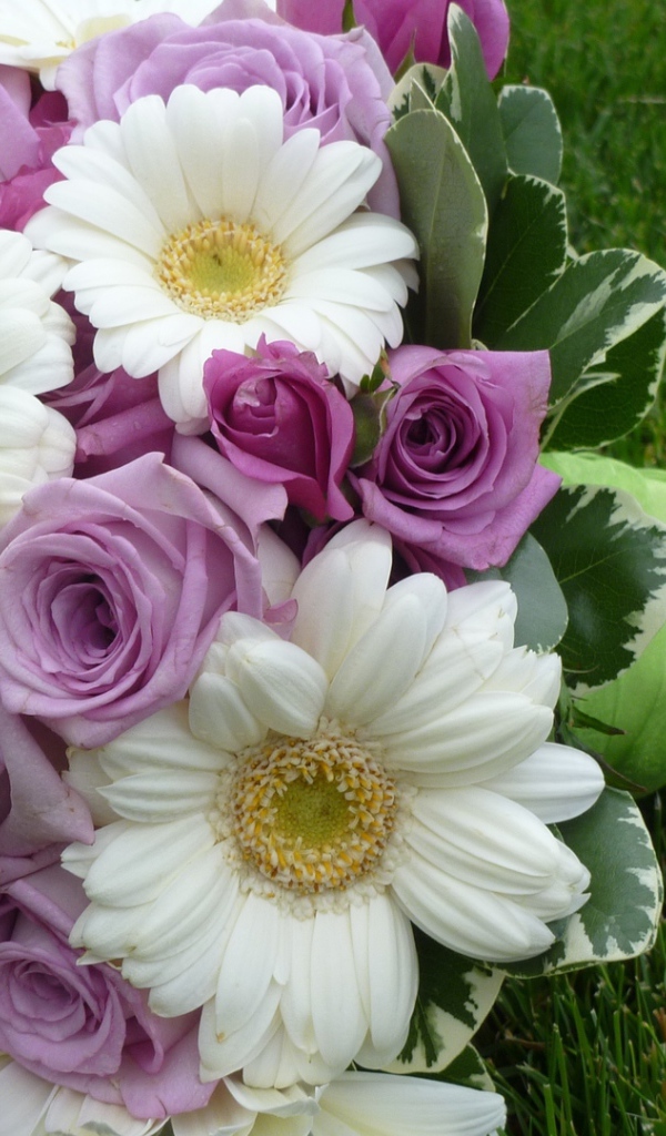 Фиолетовые розы в красивом букете