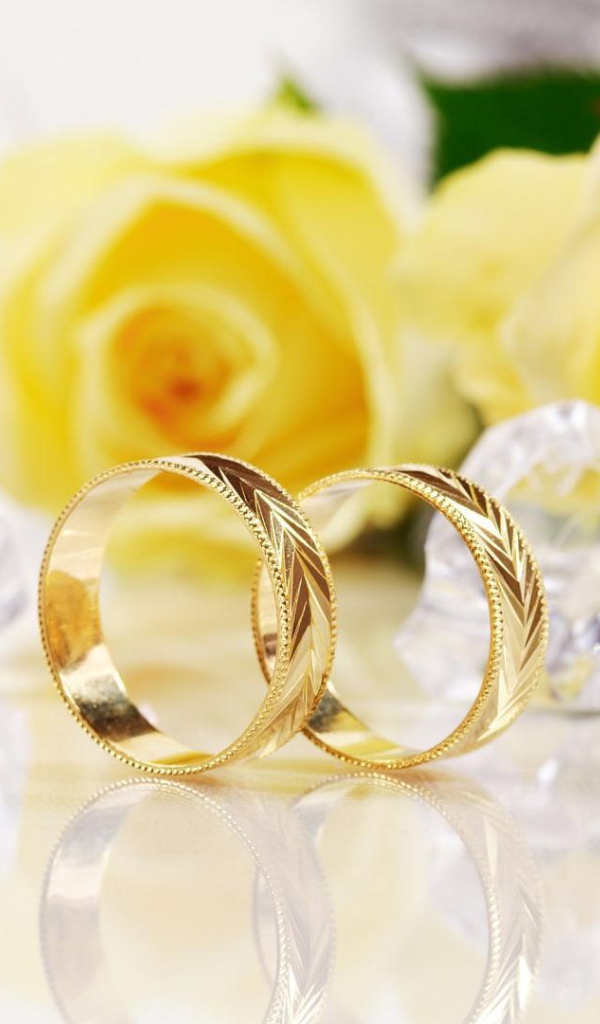Жёлтые розы и золотые свадебные кольца