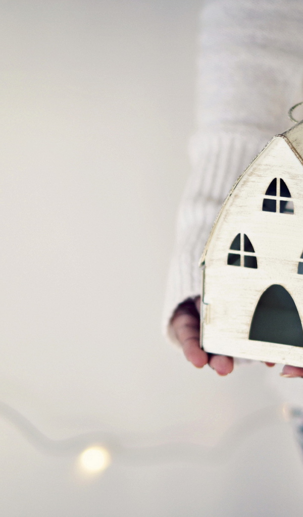 Игрушка дом в руках