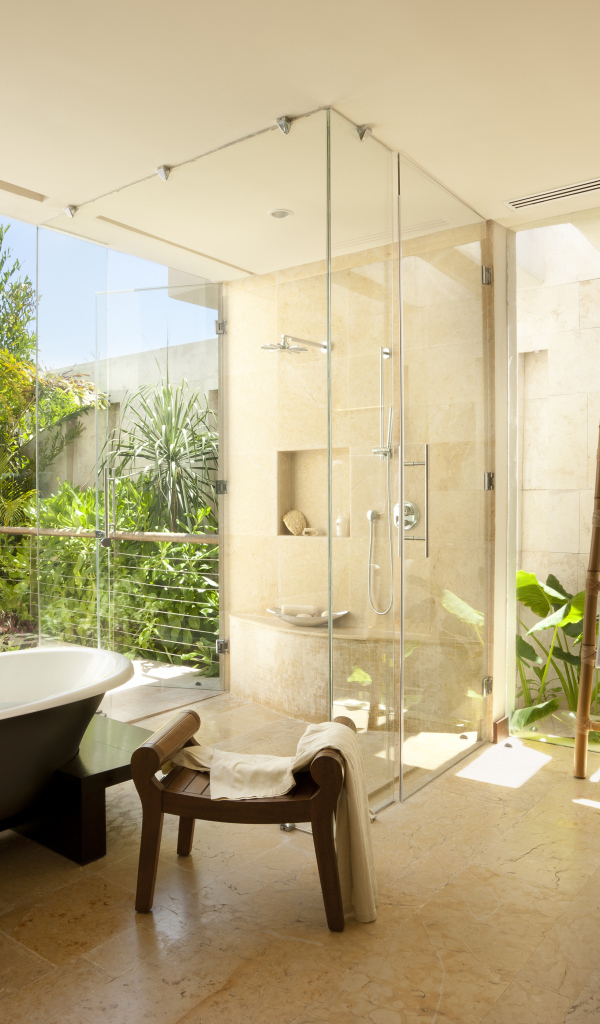 Зелень в ванной комнате