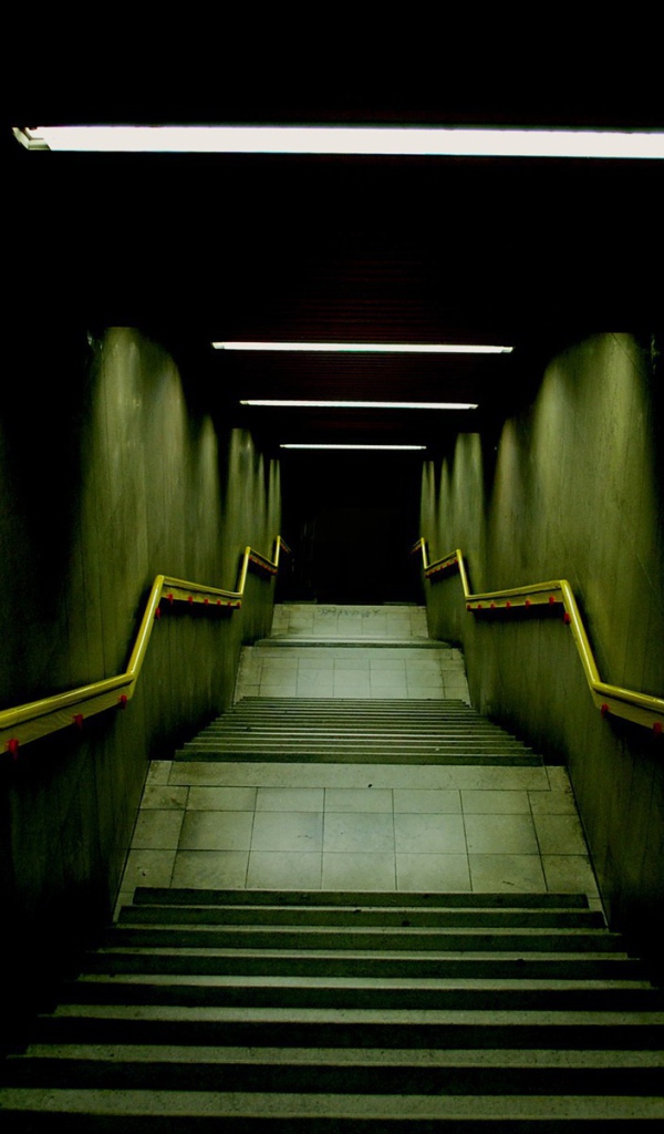 The stairs leading into the darkness