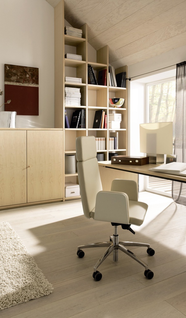 Рабочий кабинет