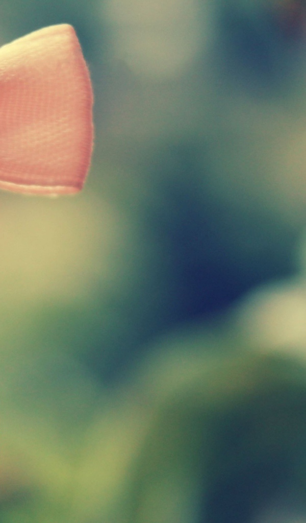 Любовь в бутылочке