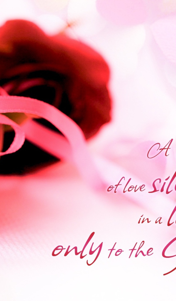 Красные розы и красивые слова о любви