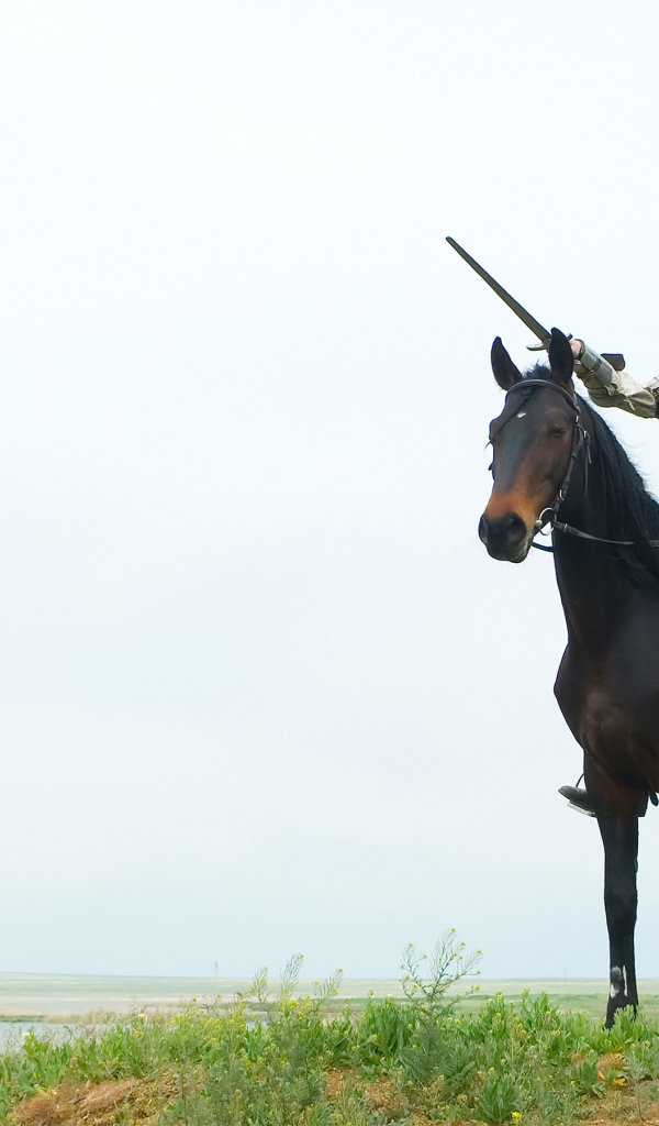 Рыцарь с мечом на лошади