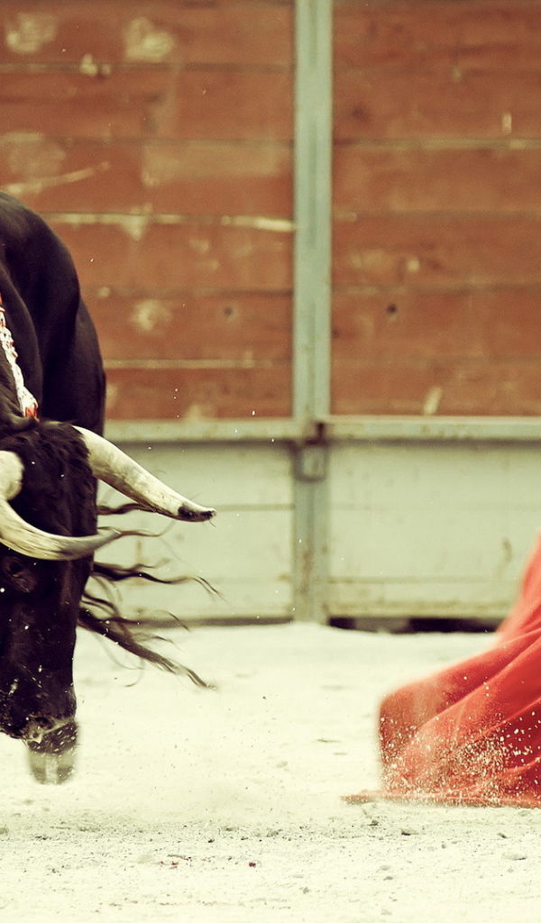 Бык и торреодор