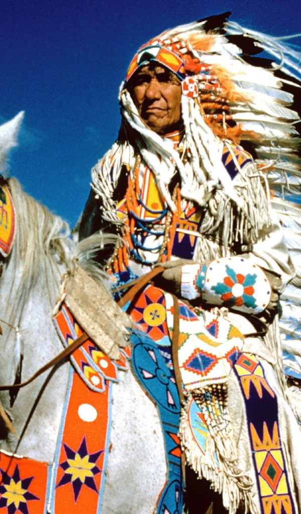 Вождь племени индейцев