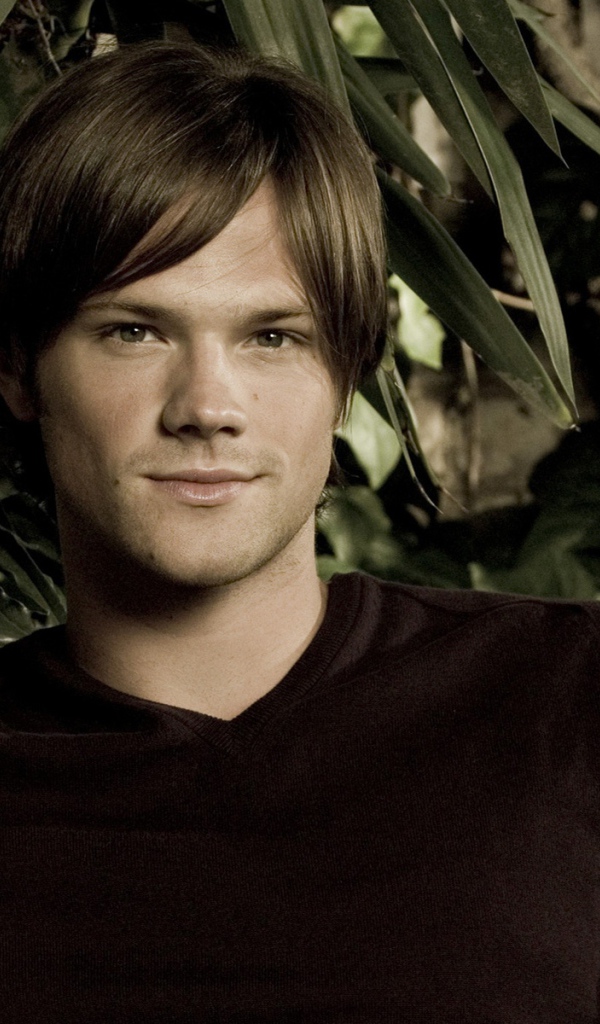 Возлюбленный Актер Джаред Падалеки