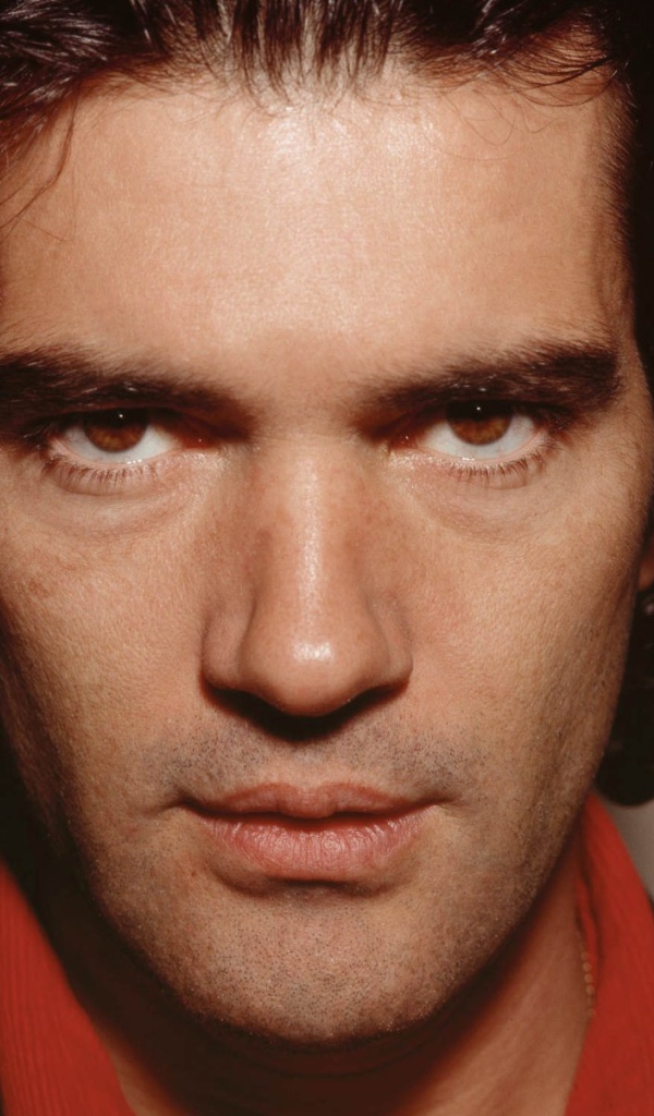 Возлюбленный Антонио Бандерас