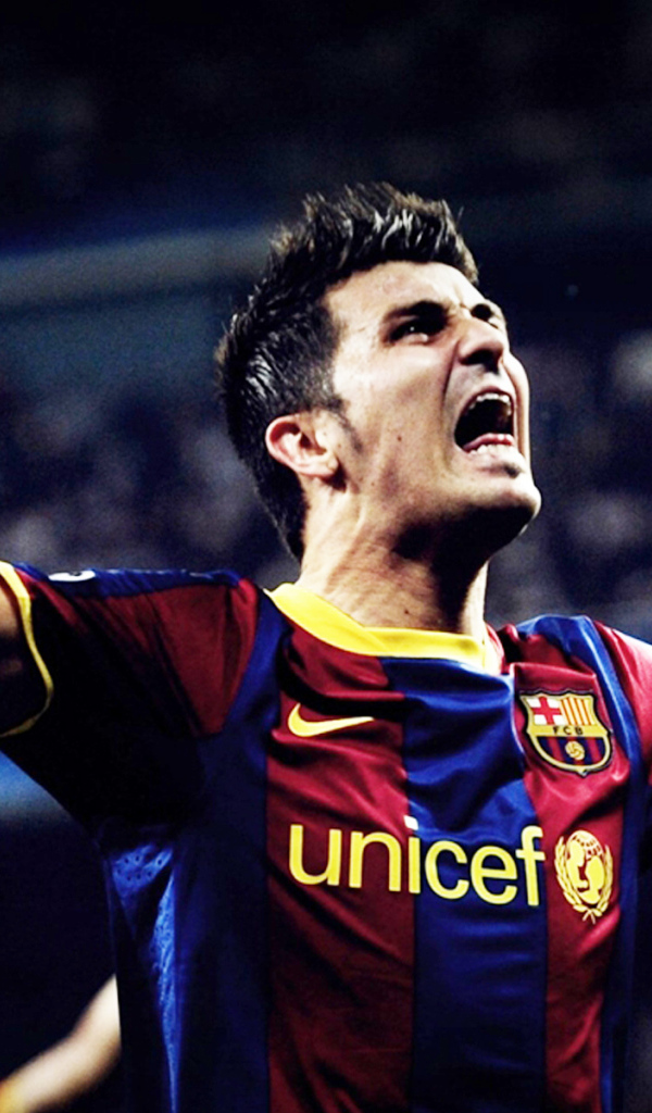 David Villa
