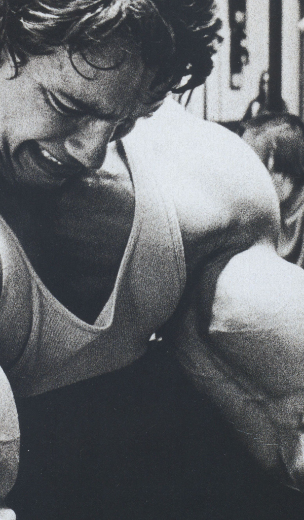 Бицепсы Арнольда