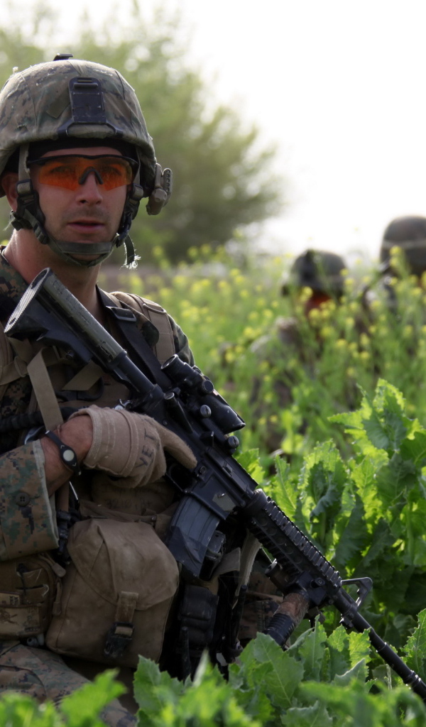 Солдат с винтовкой в траве