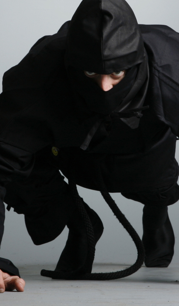 Ниндзя в боевой стойке