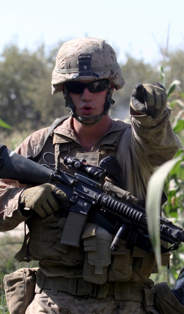 Солдат на кукурузном поле