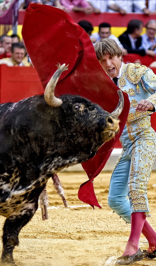 Испанский торреодор