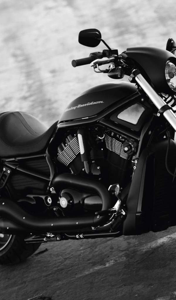 Красивый мотоцикл Harley-Davidson Night Rod Special