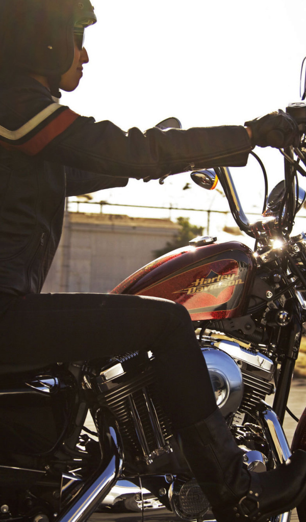 Красивый мотоцикл Harley-Davidson XL 1200V Sportster Seventy-Two