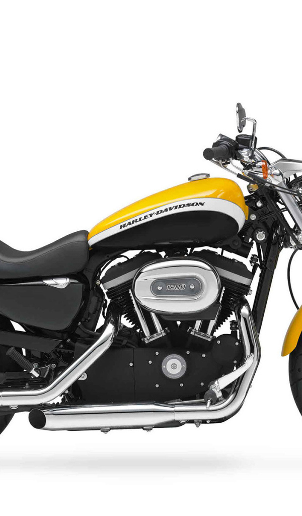 Красивый мотоцикл Harley-Davidson XL 1200X Sportster Forty-Eight