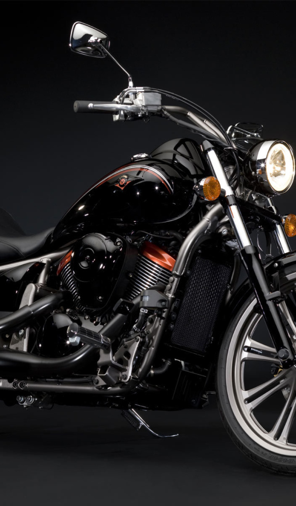 Красивый мотоцикл Kawasaki VN 900 Classic